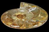 Wide Polished Fossil Ammonite Dish - Inlaid Ammonite #133251-1